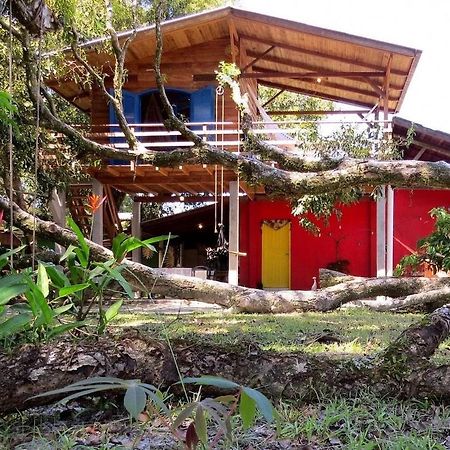 Casa Estilosa E Rustica Com Vista Para O Por Do Sol Da Ilha Do Mel! Eksteriør billede